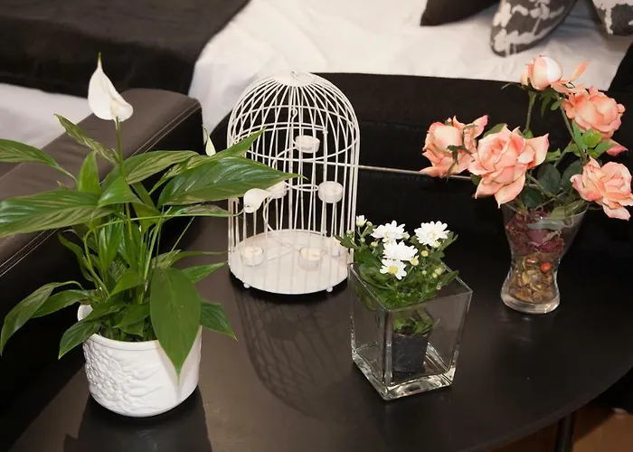 Dean Dos Catedrales Saragosse